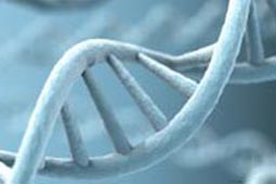 服务器攻击软件